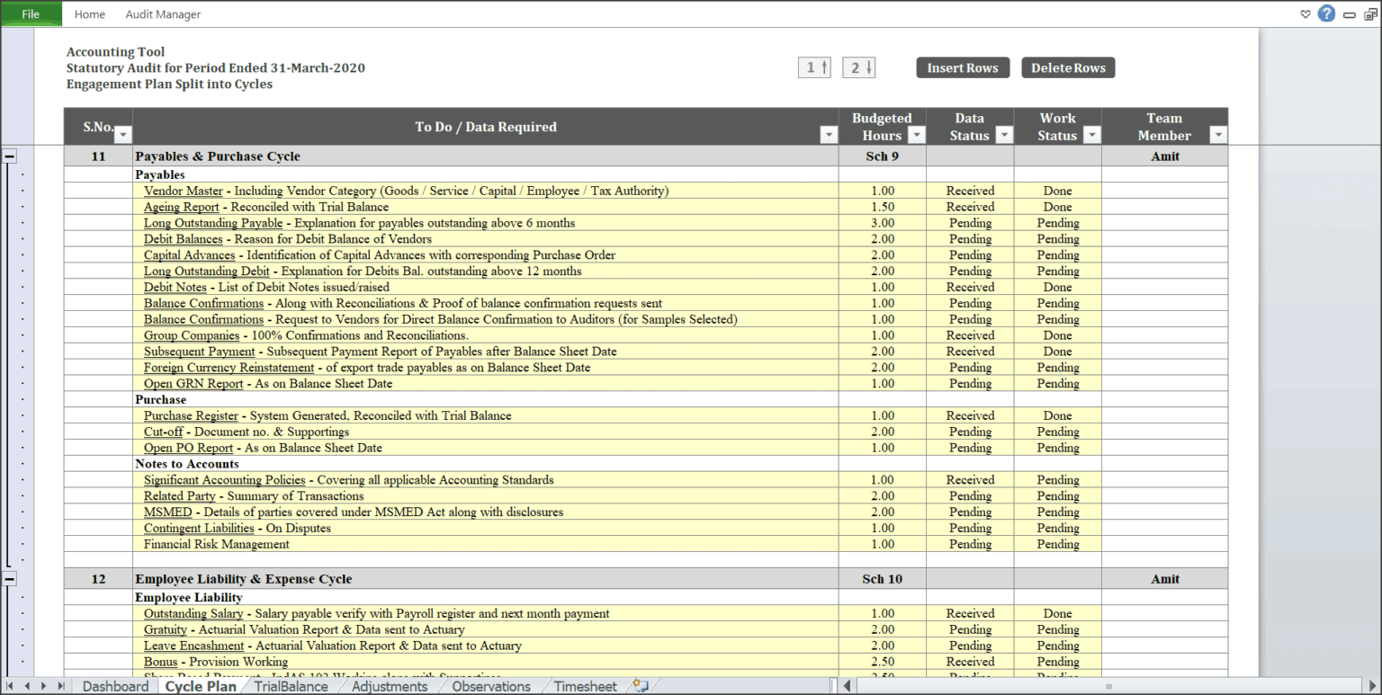 Audit Management Tool | AccountingTool